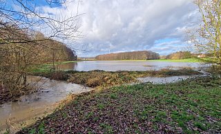 Links fließt der angeschwollene Schwarzbach und auf der angrenzenden Wiese hat sich nach dem Dauerregen zu Weihnachten ein natürliches Regenrückhaltebecken gebildet. - Privat Links fließt der angeschwollene Schwarzbach und auf der angrenzenden Wiese hat sich nach dem Dauerregen zu Weihnachten ein natürliches Regenrückhaltebecken gebildet. - Privat