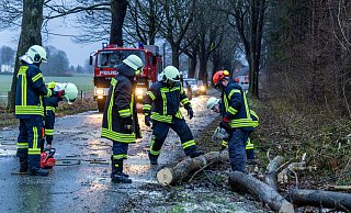 In den vergangenen Jahren war es vor allem in den ersten Monaten des Jahres stürmisch im Kreis Gütersloh. Im vergangenen Jahr fegte gleich ein Sturm-Trio durch das Kreisgebiet. Die Feuerwehr war im Dauereinsatz. - picture alliance/dpa/dpa-Zentralbild In den vergangenen Jahren war es vor allem in den ersten Monaten des Jahres stürmisch im Kreis Gütersloh. Im vergangenen Jahr fegte gleich ein Sturm-Trio durch das Kreisgebiet. Die Feuerwehr war im Dauereinsatz. - picture alliance/dpa/dpa-Zentralbild