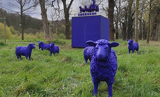 Sie standen teilweise bis zur Wolle im Hochwasser: die blauen Schafe von der Landesgartenschau in Höxter. - Archivfoto: Svenja Ludwig Sie standen teilweise bis zur Wolle im Hochwasser: die blauen Schafe von der Landesgartenschau in Höxter. - Archivfoto: Svenja Ludwig