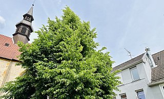 Der kleine Schornstein auf dem Dach des Bistros (r.) entlässt beim Betrieb der Küche seine Abluft in den Kirchhof, was die Anlieger in der Altstadt verärgert. - Stefan Becker Der kleine Schornstein auf dem Dach des Bistros (r.) entlässt beim Betrieb der Küche seine Abluft in den Kirchhof, was die Anlieger in der Altstadt verärgert. - Stefan Becker