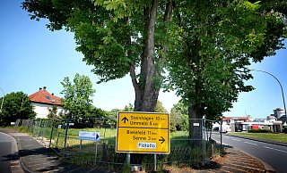 Das Grundstück an der Ecke Brackweder-/Senner Straße in Gütersloh wird neu bebaut. - Andreas Frücht Das Grundstück an der Ecke Brackweder-/Senner Straße in Gütersloh wird neu bebaut. - Andreas Frücht