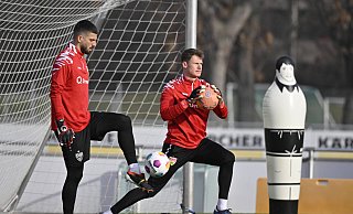 Alexander Nübel (r.), derzeit Torwart beim VfB Stuttgart und hier neben Fabian Bredlow, war einst ebenfalls Schüler an der NRW-Sportschule der Lise-Meitner-Realschule in Paderborn. - IMAGO/Michael Weber Alexander Nübel (r.), derzeit Torwart beim VfB Stuttgart und hier neben Fabian Bredlow, war einst ebenfalls Schüler an der NRW-Sportschule der Lise-Meitner-Realschule in Paderborn. - IMAGO/Michael Weber