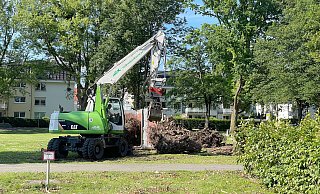Bagger reißen im Riemekepark die Wurzelbereiche abgesägter Bäume aus dem Boden und legen sie in Container zum Abtransport. - Ralph Meyer Bagger reißen im Riemekepark die Wurzelbereiche abgesägter Bäume aus dem Boden und legen sie in Container zum Abtransport. - Ralph Meyer