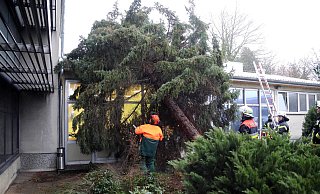 Stürzt ein Baum bei einem Sturm aufs Haus des Nachbarn, ist der Schaden in der Regel versichert. - imago images/Becker&Bredel Stürzt ein Baum bei einem Sturm aufs Haus des Nachbarn, ist der Schaden in der Regel versichert. - imago images/Becker&Bredel