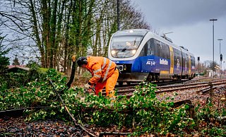 Die Sennebahn rollt zur Probe über die Strecke zwischen Bielefeld und Paderborn. Kurz hinter dem Bahnhof Schloß Holte zersägt ein Bahn-Mitarbeiter einen kleineren Baum, der auf die Gleise gefallen war. - Besim Mazhiqi Die Sennebahn rollt zur Probe über die Strecke zwischen Bielefeld und Paderborn. Kurz hinter dem Bahnhof Schloß Holte zersägt ein Bahn-Mitarbeiter einen kleineren Baum, der auf die Gleise gefallen war. - Besim Mazhiqi