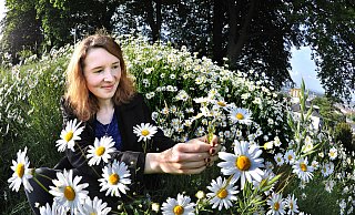 Mit Blick auf die Stadtkulisse: NW-Volontärin Melanie Wigger genießt den Sommerstart und pflückt Margeriten im Park auf dem Johannisberg. Passend zum guten Wetter laden die Wiesen und Wege zum Verweilen ein. - Foto: Andreas Frücht Mit Blick auf die Stadtkulisse: NW-Volontärin Melanie Wigger genießt den Sommerstart und pflückt Margeriten im Park auf dem Johannisberg. Passend zum guten Wetter laden die Wiesen und Wege zum Verweilen ein. - Foto: Andreas Frücht