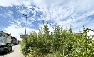 Die Brache an der Ecke Jöllenbecker Straße / Siegfriedstraße könnte jetzt zügig bebaut werden, bevor sich der Wildwuchs weiter ausbreitet. - Stefan Becker Die Brache an der Ecke Jöllenbecker Straße / Siegfriedstraße könnte jetzt zügig bebaut werden, bevor sich der Wildwuchs weiter ausbreitet. - Stefan Becker
