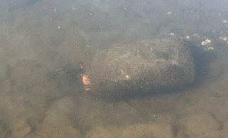 Der Gegenstand in der Weser war nur schwer erkennbar. - Polizei Der Gegenstand in der Weser war nur schwer erkennbar. - Polizei