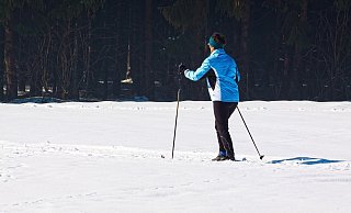 Nach mehr als zehn Jahren können sich Langläufer wieder über gespurte Loipen im Heilwald freuen. - (Symbolbild) Pixabay Nach mehr als zehn Jahren können sich Langläufer wieder über gespurte Loipen im Heilwald freuen. - (Symbolbild) Pixabay