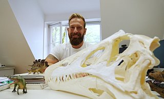 Die Nachbildung eines Dino-Schädels darf auf dem Schreibtisch eines Dinosaurier-Fans nicht fehlen. - Gerald Dunkel Die Nachbildung eines Dino-Schädels darf auf dem Schreibtisch eines Dinosaurier-Fans nicht fehlen. - Gerald Dunkel