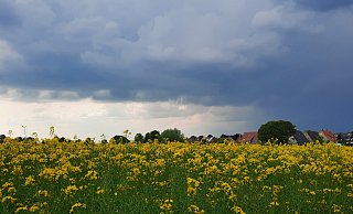Dunkle Gewitterwolken ziehen im Nordkreis Höxter heran. Der Deutsche Wetterdienst (DWD) warnt am Montagnachmittag vor Unwetter. - David Schellenberg Dunkle Gewitterwolken ziehen im Nordkreis Höxter heran. Der Deutsche Wetterdienst (DWD) warnt am Montagnachmittag vor Unwetter. - David Schellenberg