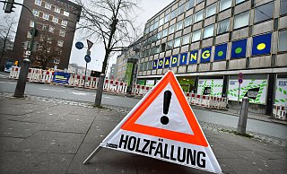 Achtung: Samstagmorgen wurde gewarnt, dass der Baum hinten im Bild gefällt wird. - Barbara Franke Achtung: Samstagmorgen wurde gewarnt, dass der Baum hinten im Bild gefällt wird. - Barbara Franke