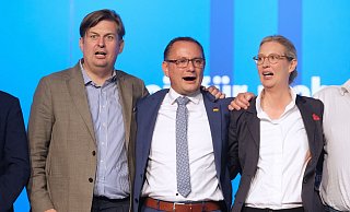 Maximilian Krah, Tino Chrupalla und Alice Weidel von der AfD. - Sebastian Willnow/dpa Maximilian Krah, Tino Chrupalla und Alice Weidel von der AfD. - Sebastian Willnow/dpa