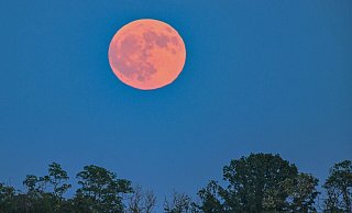 Blassroter Mond am Abendhimmel. (Archivbild) - Patrick Pleul/dpa Blassroter Mond am Abendhimmel. (Archivbild) - Patrick Pleul/dpa