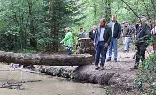 Als suche er in dem Furlbach die Antwort auf die Frage, wann der Truppenübungsplatz Teil des Nationalparks Senne wird, blickt Anton Hofreiter schweigend in den Bachlauf. Der Truppenübungsplatz beginnt auf der anderen Seite. - Sigurd Gringel Als suche er in dem Furlbach die Antwort auf die Frage, wann der Truppenübungsplatz Teil des Nationalparks Senne wird, blickt Anton Hofreiter schweigend in den Bachlauf. Der Truppenübungsplatz beginnt auf der anderen Seite. - Sigurd Gringel