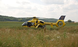 Zwei Rettungshubschrauber wurden zur Unfallstelle an der B65 gerufen. Einer davon landete auf einem Feld direkt neben der Straße. - Sandra Spieker Zwei Rettungshubschrauber wurden zur Unfallstelle an der B65 gerufen. Einer davon landete auf einem Feld direkt neben der Straße. - Sandra Spieker