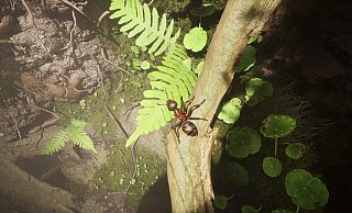"Empire Of The Ants" ist ein wunderschönes, einzigartiges Echtzeitstrategiespiel, das nicht nur Genre-Fans begeistern kann. - Microids "Empire Of The Ants" ist ein wunderschönes, einzigartiges Echtzeitstrategiespiel, das nicht nur Genre-Fans begeistern kann. - Microids