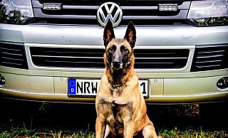 - Polizei Bonn - Polizei Bonn