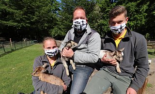 Umweltfreundlich und nachhaltig: Die Tierpfleger Svenja Busch (links) und Raphael Schäffer (rechts) mit den handgefertigten Masken des Herforder Vereins Save Nemo. Tierparkleiter Thorsten Dodt (Mitte) freut sich, über die Kooperation mit dem Verein, der die gleiche Philosophie wie der Tierpark HERFORD verfolgt. - Tierpark Umweltfreundlich und nachhaltig: Die Tierpfleger Svenja Busch (links) und Raphael Schäffer (rechts) mit den handgefertigten Masken des Herforder Vereins Save Nemo. Tierparkleiter Thorsten Dodt (Mitte) freut sich, über die Kooperation mit dem Verein, der die gleiche Philosophie wie der Tierpark HERFORD verfolgt. - Tierpark