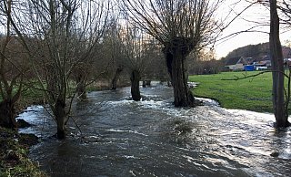 So viel Wasser wie im Januar 2019 führt die Alme in Weine derzeit nicht. - Archivfoto: Reinhard Peters So viel Wasser wie im Januar 2019 führt die Alme in Weine derzeit nicht. - Archivfoto: Reinhard Peters