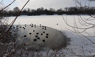 Die Stadt warnt vor dem Betreten von Eisflächen, wie dem gefrorenen Padersee. - Andre Bauland Die Stadt warnt vor dem Betreten von Eisflächen, wie dem gefrorenen Padersee. - Andre Bauland