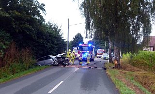 Nach dem Aufprall gegen den massiven Stamm einer Birke wurde der Audi auf die gegenüberliegende Straßenseite geschleudert. - Polizei Minden-Lübbecke Nach dem Aufprall gegen den massiven Stamm einer Birke wurde der Audi auf die gegenüberliegende Straßenseite geschleudert. - Polizei Minden-Lübbecke