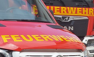 In der Beverunger Ortschaft Roggenthal wurde ein Mann bei Baumfällarbeiten schwer verletzt. Symbolbild. - David Schellenberg In der Beverunger Ortschaft Roggenthal wurde ein Mann bei Baumfällarbeiten schwer verletzt. Symbolbild. - David Schellenberg