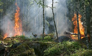 Grillplätze in Bielefeld gesperrt. - Symbolfoto Grillplätze in Bielefeld gesperrt. - Symbolfoto