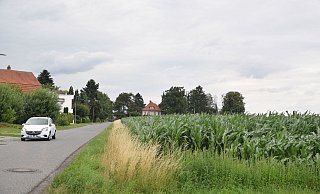Auf der Fläche rechts des Sieler Wegs - hier wächst zurzeit Mais - möchte die Stadt ein neues Wohngebiet entwickelm. - Mareike Patock Auf der Fläche rechts des Sieler Wegs - hier wächst zurzeit Mais - möchte die Stadt ein neues Wohngebiet entwickelm. - Mareike Patock