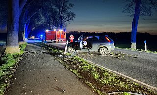 Der junge Autofahrer prallt nach dem Ausweichmanöver mit seinem Fiesta gegen einen Baum. - Thorsten Heß Der junge Autofahrer prallt nach dem Ausweichmanöver mit seinem Fiesta gegen einen Baum. - Thorsten Heß