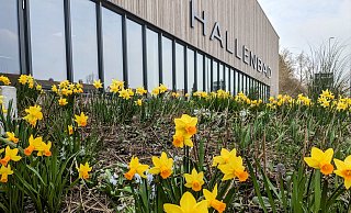 Fachfirma übernimmt die Gewährleistung für die vielen Fliesenschäden im Hallenbad in Höxter. - Burkhard Battran Fachfirma übernimmt die Gewährleistung für die vielen Fliesenschäden im Hallenbad in Höxter. - Burkhard Battran