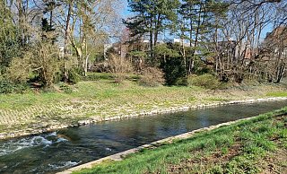 An diesem Werreabschnitt soll die Sitzterrasse gebaut werden. Los geht's mit den Arbeiten ab April 2026. - Moritz Trinsch An diesem Werreabschnitt soll die Sitzterrasse gebaut werden. Los geht's mit den Arbeiten ab April 2026. - Moritz Trinsch