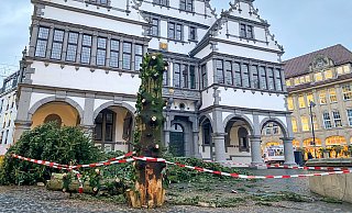 Der Baum vor der Paderborner Rathaus wurde aufgrund des Sturms entfernt. - Stadt Paderborn Der Baum vor der Paderborner Rathaus wurde aufgrund des Sturms entfernt. - Stadt Paderborn