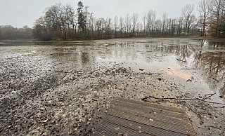 Durch die lang anhaltenden Trockenperioden sind die zwei Brunnen nicht in der Lage, die Wasserverluste der Teiche zu kompensieren. - Mareike Gröneweg Durch die lang anhaltenden Trockenperioden sind die zwei Brunnen nicht in der Lage, die Wasserverluste der Teiche zu kompensieren. - Mareike Gröneweg