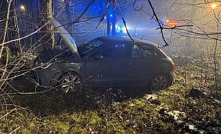 Der Audi A1 landete in einem Waldstück am Senner Hellweg in Bielefeld. - Paul Brinkmann Der Audi A1 landete in einem Waldstück am Senner Hellweg in Bielefeld. - Paul Brinkmann