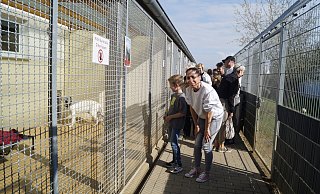 Peggy Lehmann und Sohn Paul interessieren sich für Attila - dem wurde aber der Trubel zu viel und er zog sich zurück. - Kerstin Tirre Peggy Lehmann und Sohn Paul interessieren sich für Attila - dem wurde aber der Trubel zu viel und er zog sich zurück. - Kerstin Tirre