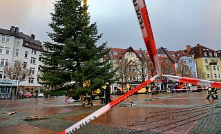 Siggi-Tanne wird aufgestellt - aber kein großes Event wie die letzten Jahre - Barbara Franke Siggi-Tanne wird aufgestellt - aber kein großes Event wie die letzten Jahre - Barbara Franke