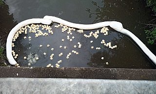 Das Foto zeigt eine der eingerichteten Ölsperren auf dem Gewässer. Kleine Spezialwürfel nehmen das schwimmende Öl auf und binden es. - FW Warburg Das Foto zeigt eine der eingerichteten Ölsperren auf dem Gewässer. Kleine Spezialwürfel nehmen das schwimmende Öl auf und binden es. - FW Warburg