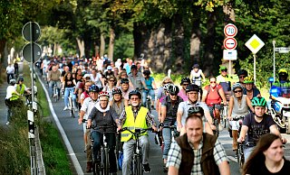 Am 21. September 2019 machten sich 2.000 Menschen per Fahrrad auf den Weg, um gegen den vierspurigen Ausbau der B61 zwischen Gütersloh und Bielefeld zu protestieren. 480 Linden hätten dafür fallen sollen. Die Pläne sind zunächst vom Tisch. - Andreas Frücht Am 21. September 2019 machten sich 2.000 Menschen per Fahrrad auf den Weg, um gegen den vierspurigen Ausbau der B61 zwischen Gütersloh und Bielefeld zu protestieren. 480 Linden hätten dafür fallen sollen. Die Pläne sind zunächst vom Tisch. - Andreas Frücht