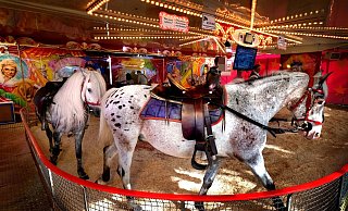 Angebote wie dieses Ponykarussell auf der Pfingstkirmes in Gütersloh stehen immer wieder in der Kritik. - Andreas Frücht Angebote wie dieses Ponykarussell auf der Pfingstkirmes in Gütersloh stehen immer wieder in der Kritik. - Andreas Frücht