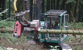Forstunternehmer Dirk Rohlfing fällt mit seinem "Harvester" die abgestorbenen Bäume oberhalb von Bergkirchen. - Jörg Stuke Forstunternehmer Dirk Rohlfing fällt mit seinem "Harvester" die abgestorbenen Bäume oberhalb von Bergkirchen. - Jörg Stuke