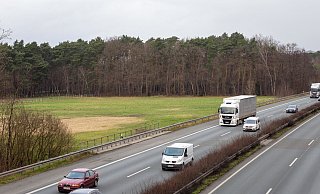 In unmittelbarer Nähe der Autobahn A 33 soll westlich davon auf einer Brachwiese ein 2,5 Hektar großer Solarpark entstehen. - Niklas Tüns In unmittelbarer Nähe der Autobahn A 33 soll westlich davon auf einer Brachwiese ein 2,5 Hektar großer Solarpark entstehen. - Niklas Tüns
