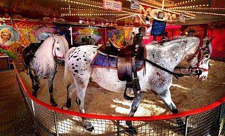 Wie die Fachverwaltung informiert, besitzen alle im Kreis ansässigen Betreiber von Ponykarussells eine Erlaubnis nach Tierschutzgesetz. - Andreas Frücht Wie die Fachverwaltung informiert, besitzen alle im Kreis ansässigen Betreiber von Ponykarussells eine Erlaubnis nach Tierschutzgesetz. - Andreas Frücht