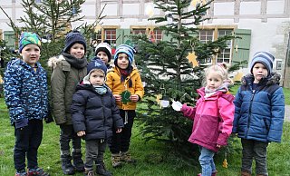 Marlo (von links), Noel, Henry, Vinda, Mohammad, Isabella und Fiete aus der Kita "Sonnenland" waren beim Tannenbaumschmücken an der Werburg dabei. - Britta Bohnenkamp-Schmidt Marlo (von links), Noel, Henry, Vinda, Mohammad, Isabella und Fiete aus der Kita "Sonnenland" waren beim Tannenbaumschmücken an der Werburg dabei. - Britta Bohnenkamp-Schmidt