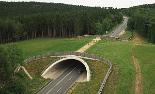 Die Tiere, die die Wildbrücke am Stellberg bei Bad Driburg nutzen, sollen jetzt durch ein neues System überwacht werden. - Oliver Sielhorst Die Tiere, die die Wildbrücke am Stellberg bei Bad Driburg nutzen, sollen jetzt durch ein neues System überwacht werden. - Oliver Sielhorst