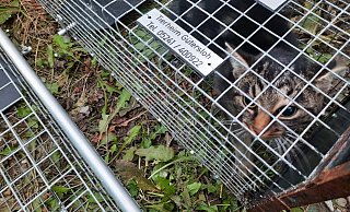 Das Tierheim ist nach wie vor wegen der Corona-Pandemie geschlossen. - Gütersloher Tierheim Das Tierheim ist nach wie vor wegen der Corona-Pandemie geschlossen. - Gütersloher Tierheim