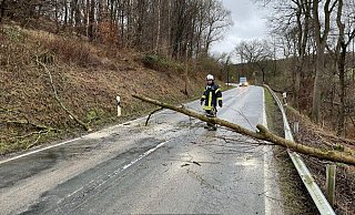 Unter anderem musste die Löschgruppe Bruchhausen zu einer versperrten Straße ausrücken. Der Wind hatte einen Baum auf die L 890 kippen lassen. - Feuerwehr Höxter Unter anderem musste die Löschgruppe Bruchhausen zu einer versperrten Straße ausrücken. Der Wind hatte einen Baum auf die L 890 kippen lassen. - Feuerwehr Höxter