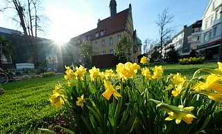 Der Gütersloher Frühling besticht Jahr für Jahr durch seinen Farbenreichtum. - Andreas Frücht Der Gütersloher Frühling besticht Jahr für Jahr durch seinen Farbenreichtum. - Andreas Frücht