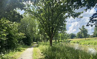 Der Weg im Werreauenpark muss erneuert werden. - Dirk Windmöller Der Weg im Werreauenpark muss erneuert werden. - Dirk Windmöller