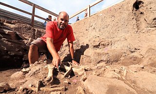 Höxters Stadtarchäologe Ralf Mahytka legt Rinderknochen im Keller eines 1265 verschütteten Hauses frei. Steine aus der Grabung gibt es gegen eine Spende. - Archiv-Foto: David Schellenberg Höxters Stadtarchäologe Ralf Mahytka legt Rinderknochen im Keller eines 1265 verschütteten Hauses frei. Steine aus der Grabung gibt es gegen eine Spende. - Archiv-Foto: David Schellenberg